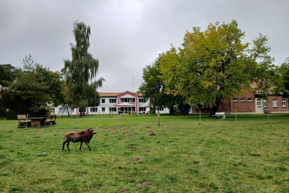 Wichernhof Dehmen Wichernhof Dehmen in ländlicher Umgebung